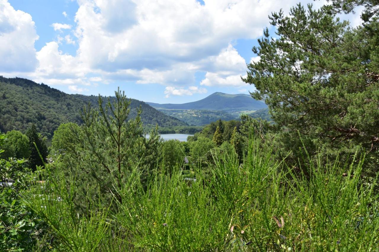 Camping Domaine Du Lac Chambon ミュロル エクステリア 写真
